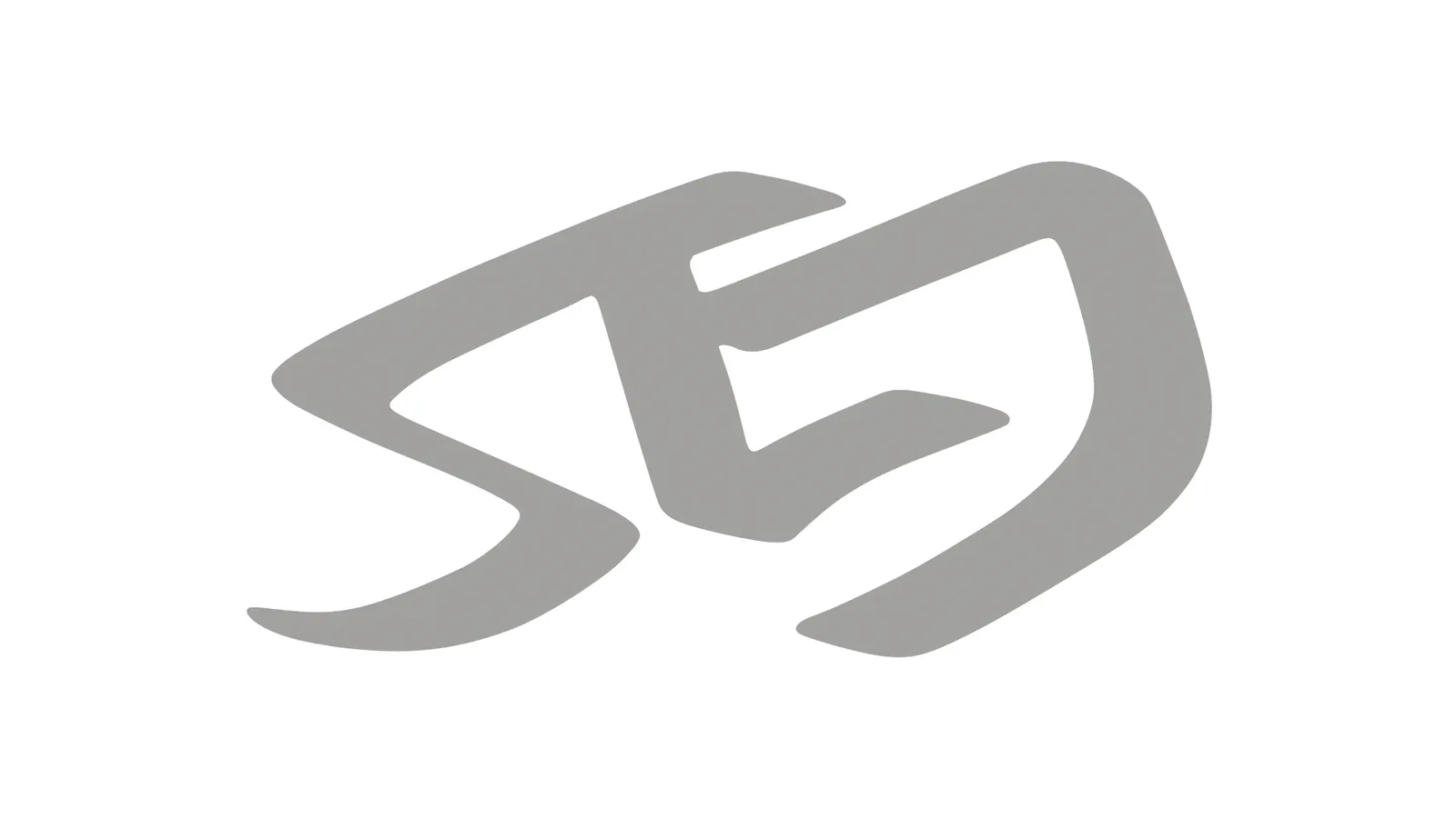 03_Logo_Wireframe_1 2